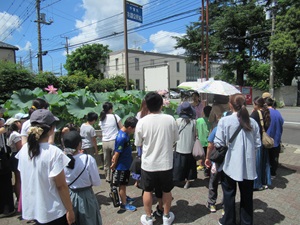 親子で作ろう！大賀ハスのランタン(千葉市花園公民館)