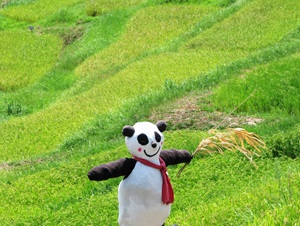 サムネイル_千葉市椿森公民館