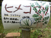 CIMG1223_R