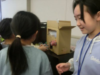 CIMG1712_R