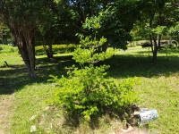 IMG_20250605_114052669