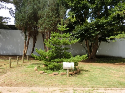 CIMG3277